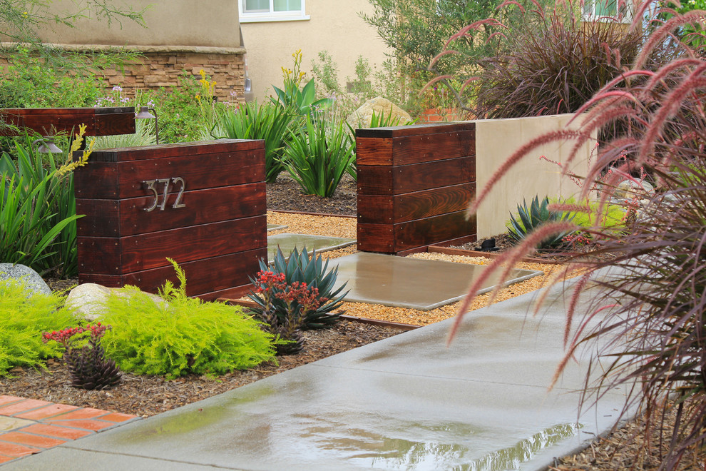 Floating wood and smooth stucco entry wall with stainless mounted address numbers. Decorative gravel in custom modular concrete pads. Contemporary wood bench. Dry stream bed with natural river rock boulders offsets the tight geometry of the entry. Xeriscape drought tolerant landscape plants with succulents, native grasses and shrubs. Plants include Kangaroo Paw, Agave Attenuata, Coleonema 'Sunset', Agave 'Blue Glow', Pennisetum 'Fireworks', Cercidium 'Desert Museum', Salvia Gregii, Escallonia Fradesii, Festuca Glauca, and several varieties of Echeveria.